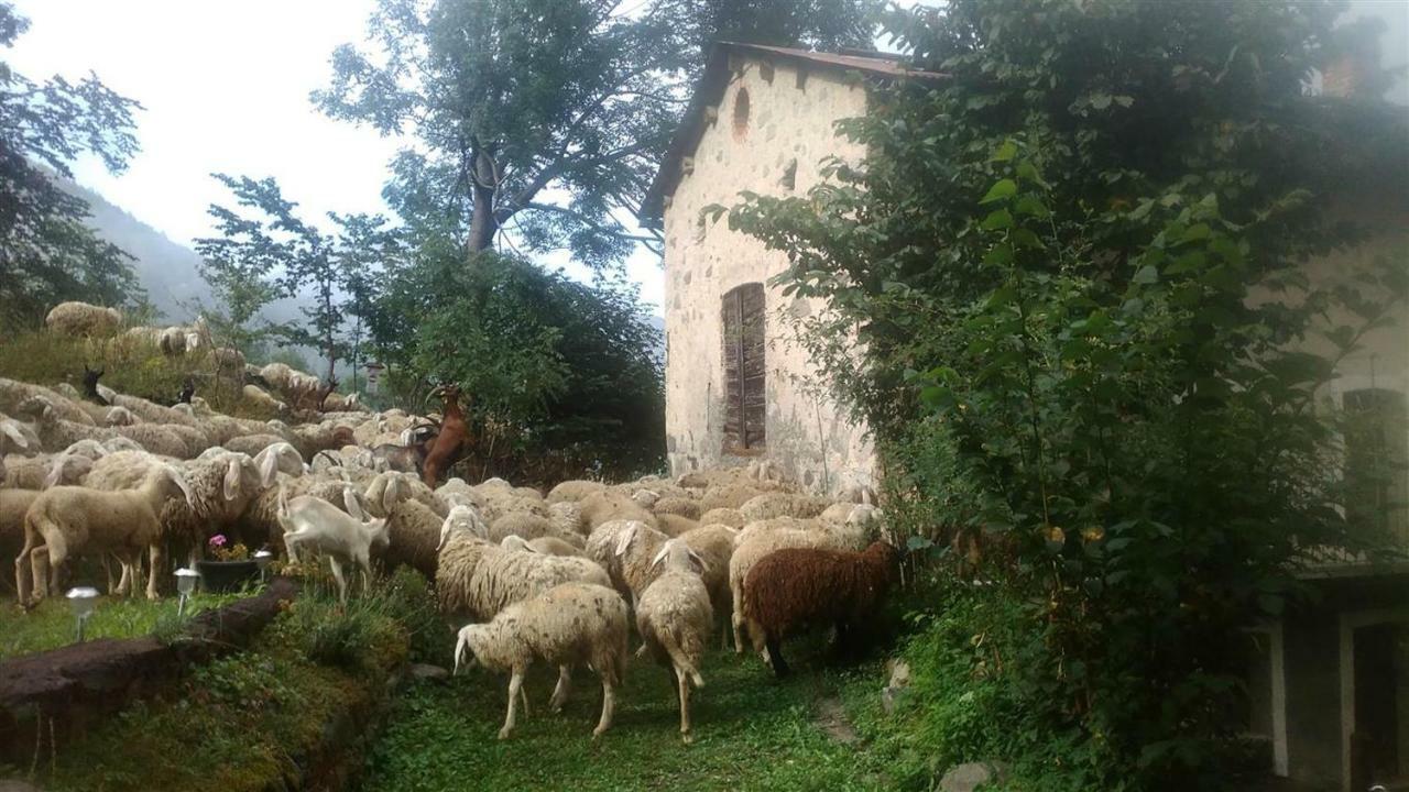 B&B L'Abric - Centro Storico Di Limonetto Limone Piemonte Kültér fotó